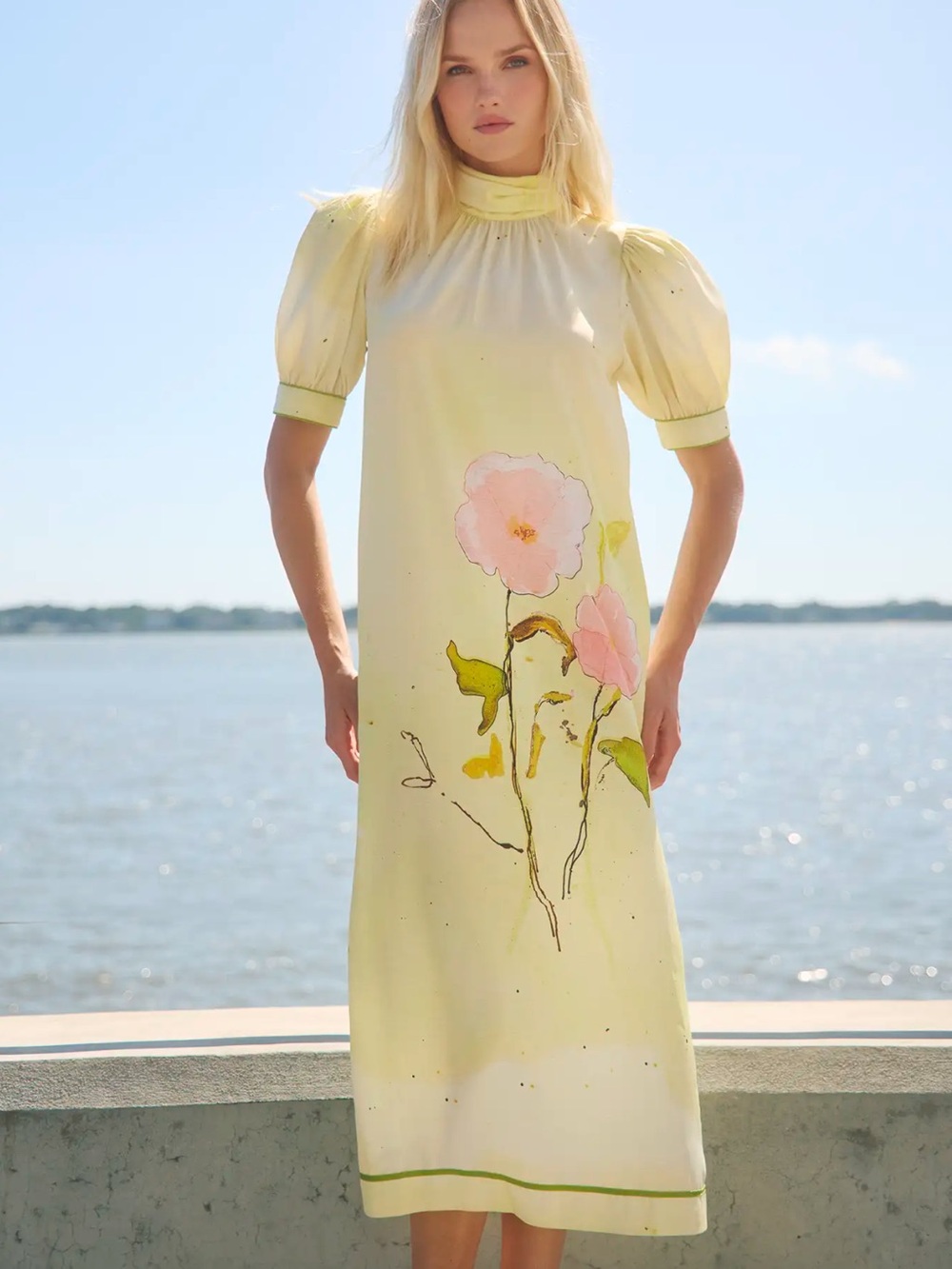 Anthropologie Hunter bell Langley Dress Quiet bloom Size 6 NWT $595